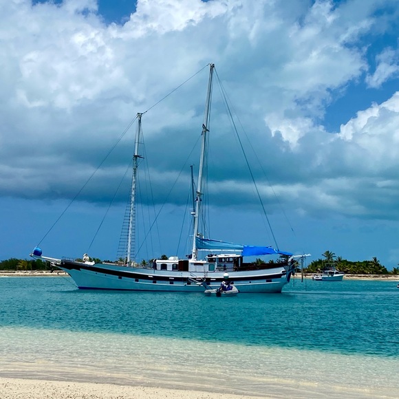 🌟🌟🌟🌟🌟 AMBASSADOR - Picture 9 of 16